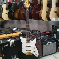 Lengardo Serie Torino Custom w/Van Zandt Pick-ups 2nd Lengardo Serie Torino Custom w/Van Zandt Pick-ups 2nd