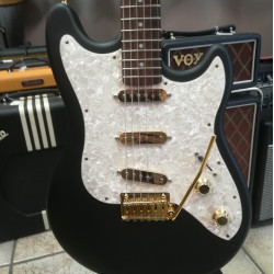 Lengardo Serie Torino Custom w/Van Zandt Pick-ups 2nd Lengardo Serie Torino Custom w/Van Zandt Pick-ups 2nd