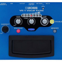 BOSS VE1 VOCAL ECHO