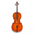 Violoncelli