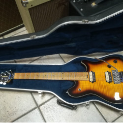 Peavey EVH Wolfgang Standard Deluxe Sunburst 1997-1998 USA - SOLD! Peavey EVH Wolfgang Standard Deluxe Sunburst 1997-1998 USA - SOLD!
