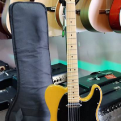 FENDER TELECASTER AMERICAN PERFORMER BUTTERSCOTCH BLONDE W/BAG 2nd - SOLD!