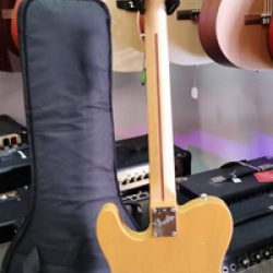 FENDER TELECASTER AMERICAN PERFORMER BUTTERSCOTCH BLONDE W/BAG 2nd - SOLD!