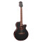 Takamine GF49CE-CB Fcx Ctw Elet G Series