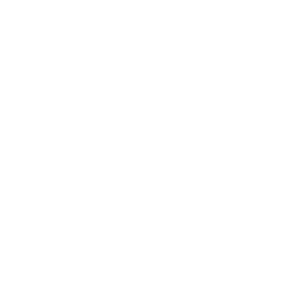 Firebird Strumenti Musical